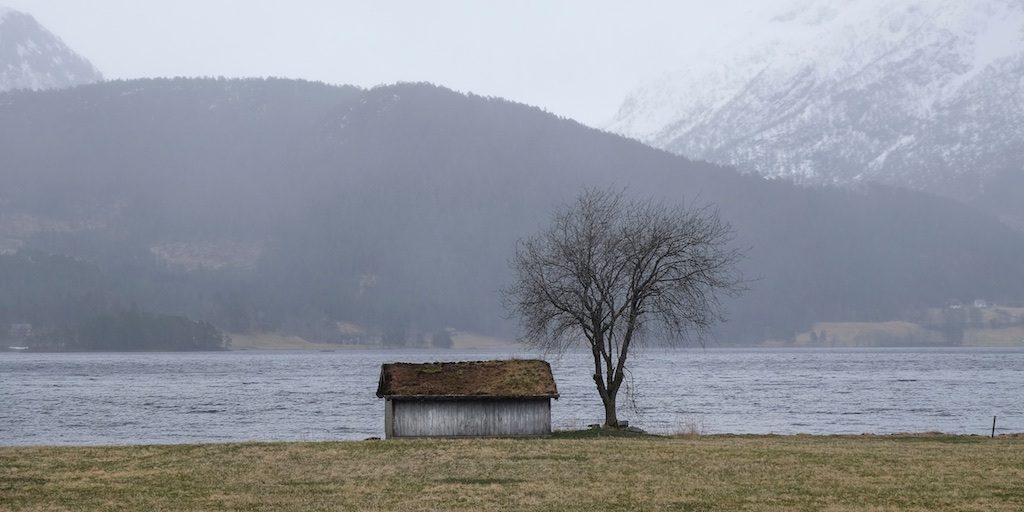 In these difficult times, help us realize that our commitment to You needs to be bold and consistent. Keep us from wavering as the world’s values, in terms of Your expectations, are in a steep decline. Given the profusion of sin, the gate to heaven may indeed be narrow.