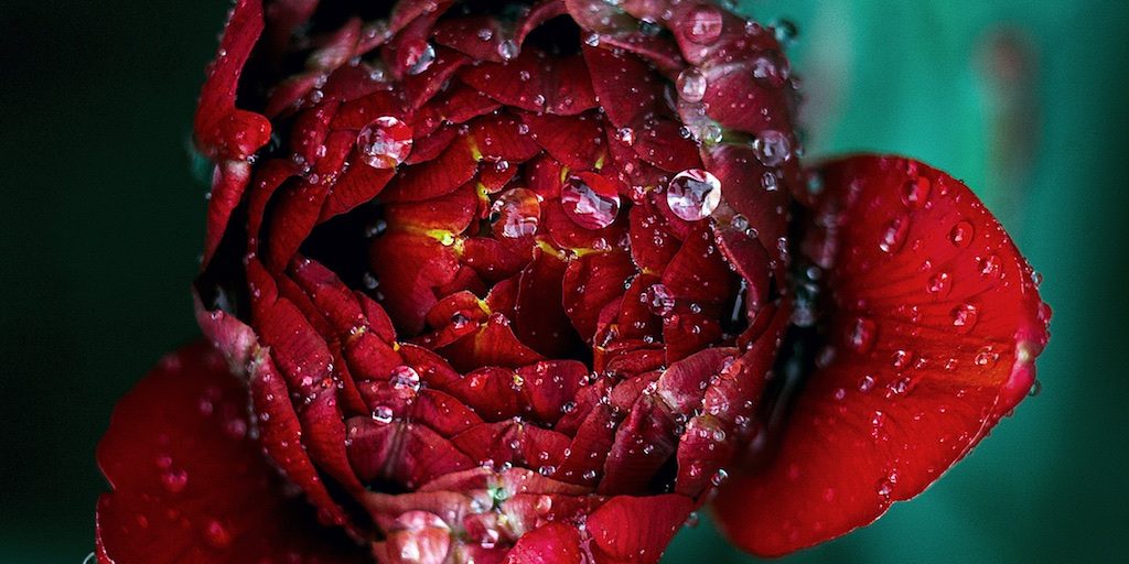 Father, we know that your desire is that we are fruitful. You have taught us that one of the reasons to accumulate assets is to share them with those in need. Help us know that assets, granted to us by You, make us a custodian, one who administers benefits to others.