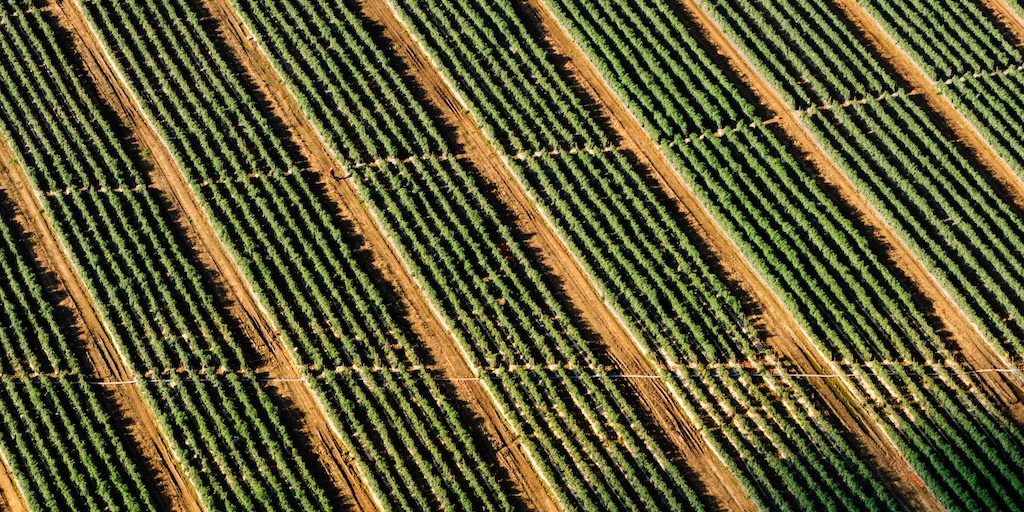 Father, witnessing of Your love for us is our privilege but let us not take lightly the possibility that our witness may cause a sinner to return to You for an eternal reward. We have seen the joy of redemption; we have seen lives changed. A changed heart is a miracle to behold.