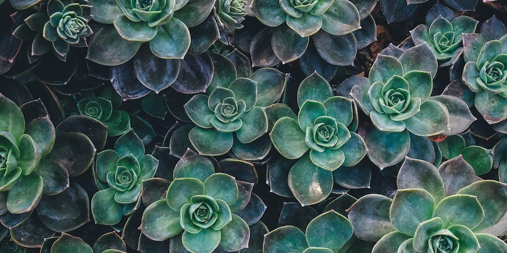 Father, Your word has a lot to say about our mouths and how they tend to get us in trouble with others and with You. Here we are reminded by You, Jesus, that there are no secrets concerning what we have thought and what we have said. Every thought, word and deed will be revealed.