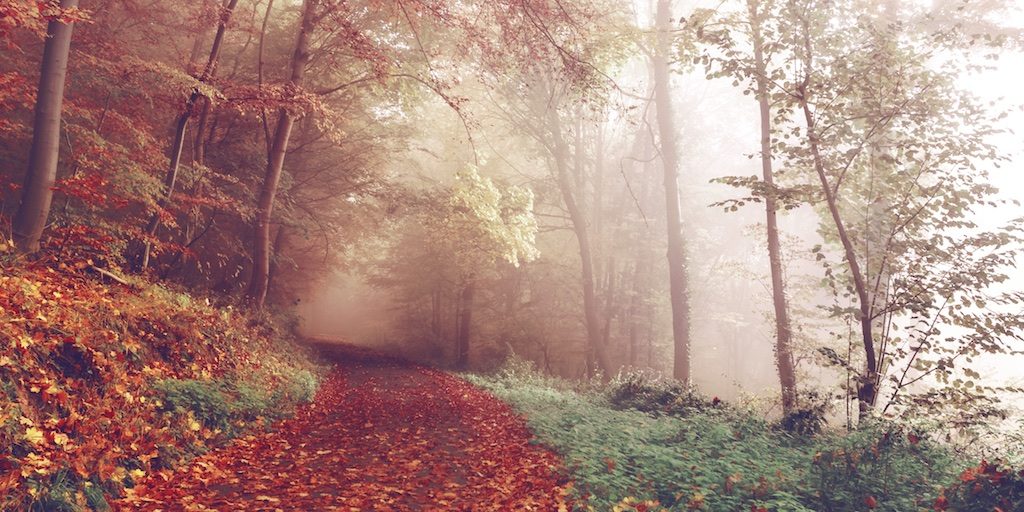 Father, You continually teach us that we each bear our own responsibilities in relation to You.  Our relationship is personal. It is not a relationship we are able to inherit or claim as a member of an organization or as a member of a Christian family. We come to You as individuals, seeking to do Your will, knowing that it pleases You immensely when we do so.