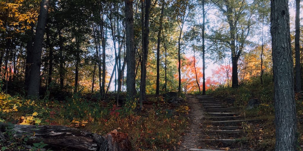 Father, Just as You declared Jesus, as Your only begotten Son, You assure us that we can cry out as Jeremiah did, for Your help. We know Father that Jesus made it possible for us to come into Your presence, cleansed, and prepared to speak to You.