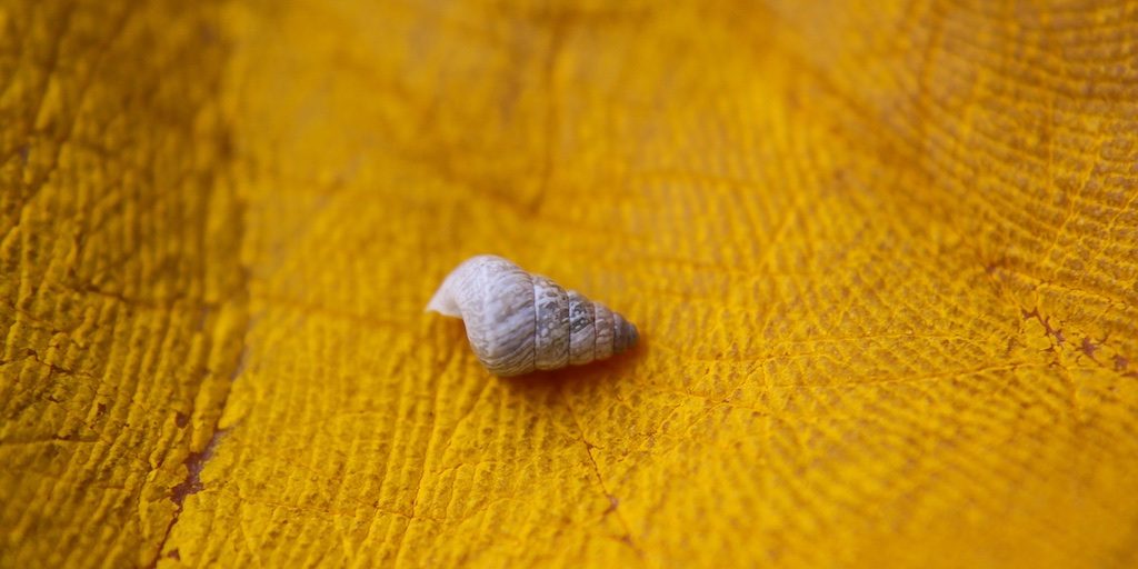 Here You tell us to examine ourselves, to look into our hearts and ask ourselves if the Holy Spirit, Jesus in us, actually exists. The answer, if we are to be saved, is yes, yes, He lives in my heart and every time I turn to Him I am making the right decision, the right move. Bless each of us and help us as we seek to know You better.